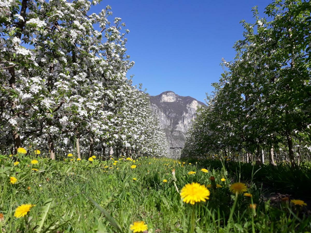 Agriturismo L' Isola Di Arturo Trento Kültér fotó