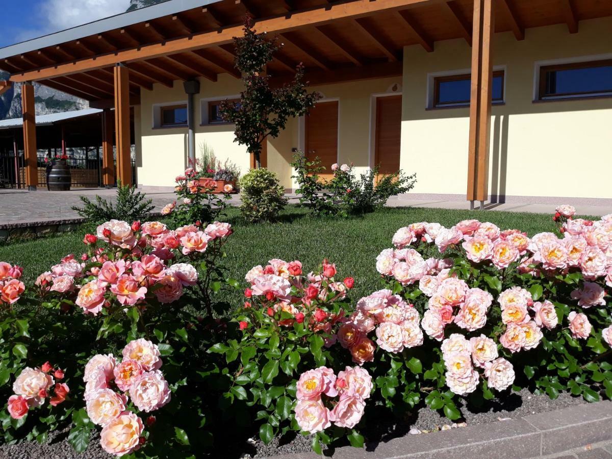 Agriturismo L' Isola Di Arturo Trento Kültér fotó
