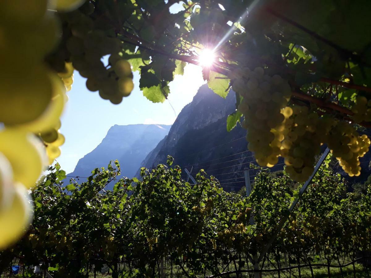 Agriturismo L' Isola Di Arturo Trento Kültér fotó